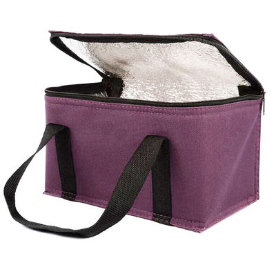 OEM Impresión personalizada Bolsa de enfriador aislada suave 21 * 13 * 14 Cm Con capacidad de 4L 16L 32L