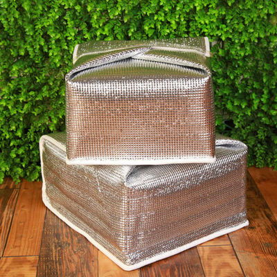 Bolsas de refrigeración promocionales de papel de aluminio de doble cara a prueba de agua para niños